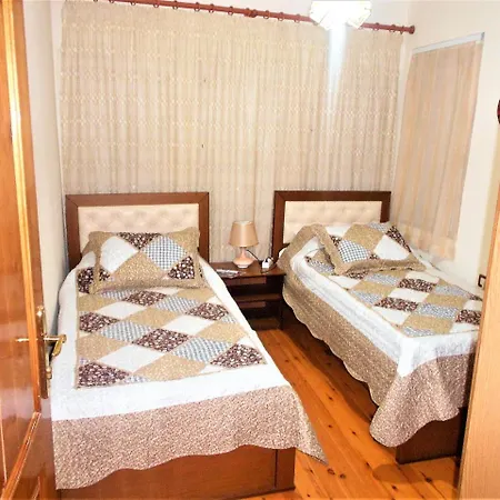 Taunus 4*